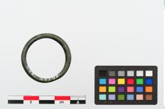 Foto von Bronzering (NHMW-PRAE-024148)